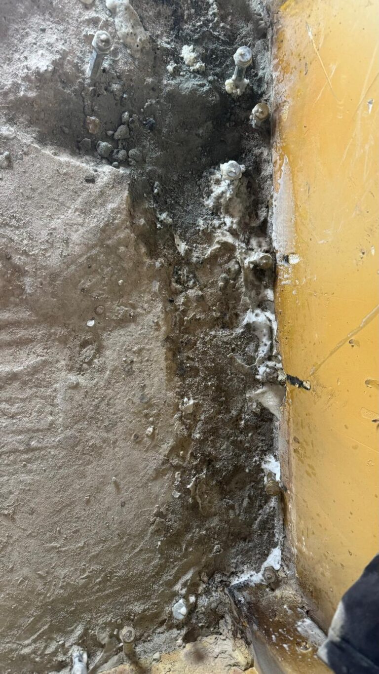PHOTO-2024-11-24-12-35-37 3